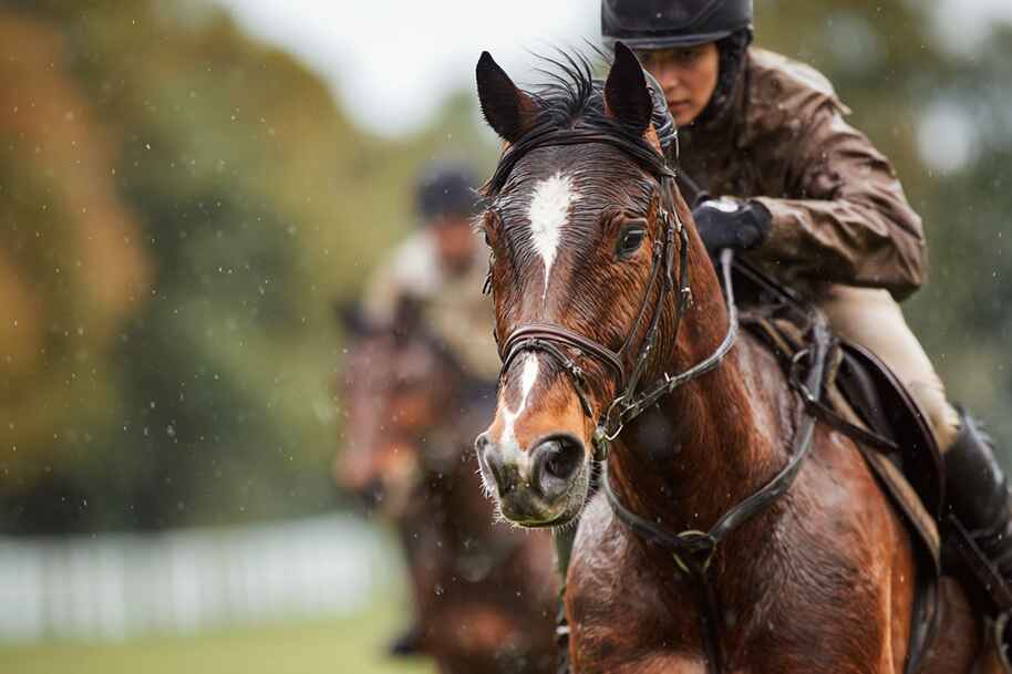 Feel the power, grace, and thrill of the ride with every gallop.