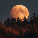 The Hunter’s Moon rising above a forested mountain on a magical October night, symbolizing abundance and mystery under the full moon of October 2025 — featured on the Eternal Slots Casino blog about the meaning and astrology of the Hunter’s Moon.